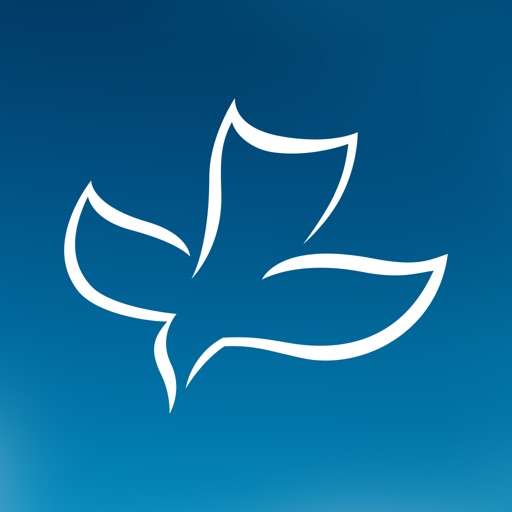 CSN International Download