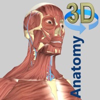 3D Anatomy apk