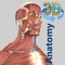 A true and totally 3D app for learning human anatomy with 3D position quiz and audio pronunciation, built on an advanced interactive 3D touch interface