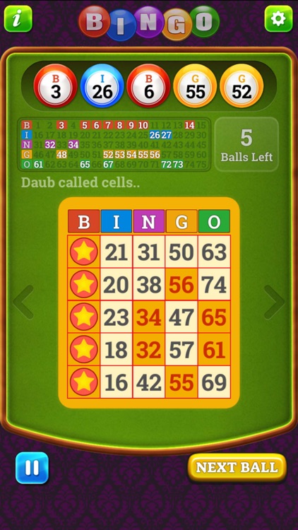 Bingo Classic Multi