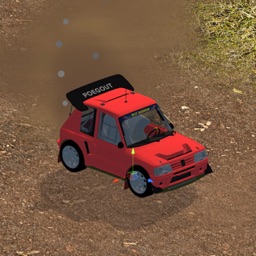 Agile Rally Driver