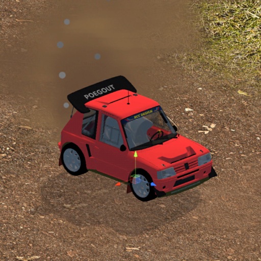 Agile Rally Driver