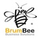 BrumBee es una solución tecnológica para el control y administración de los recursos de la empresa
