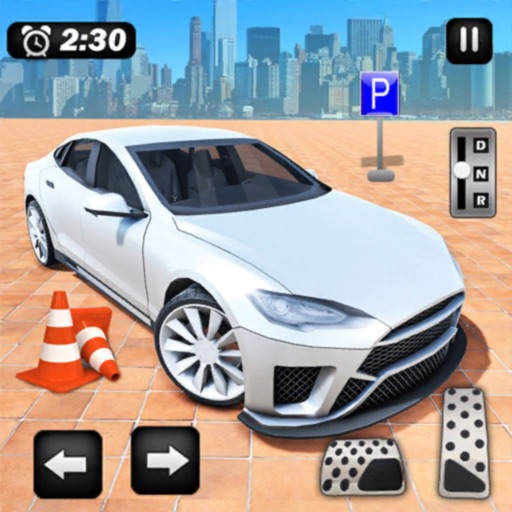 Car Parking Expert 3D