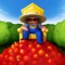 Grow and collect as many fruit as you can