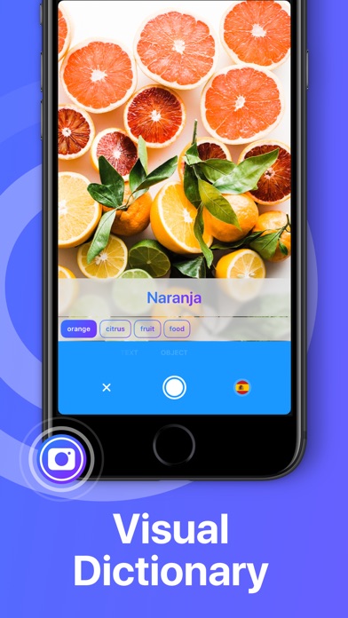 download iTranslate Translator apps 6