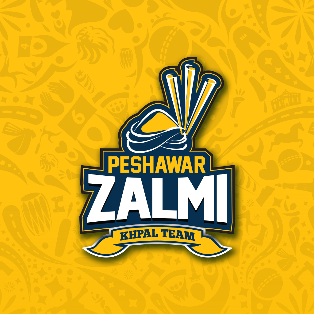 zalmi store