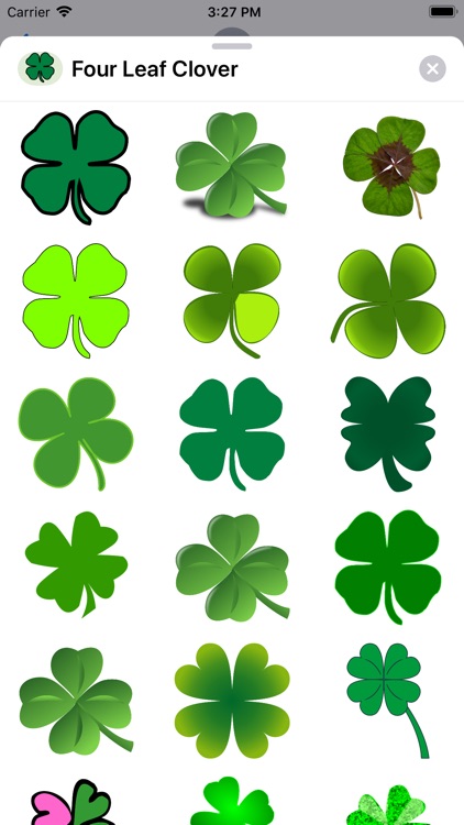 Four Leaf Clovers