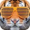 Welcome to the new After School app