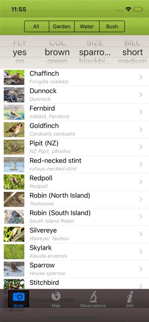 NZBirder(圖3)-速報App