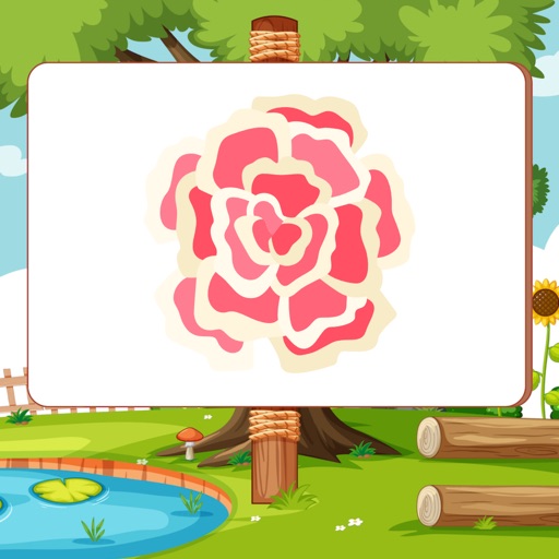 Learn Lovely Flowers