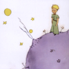 The Little Prince - AudioBook - Jorge Lucioni Charalla