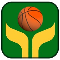 Quick Shot Basketball