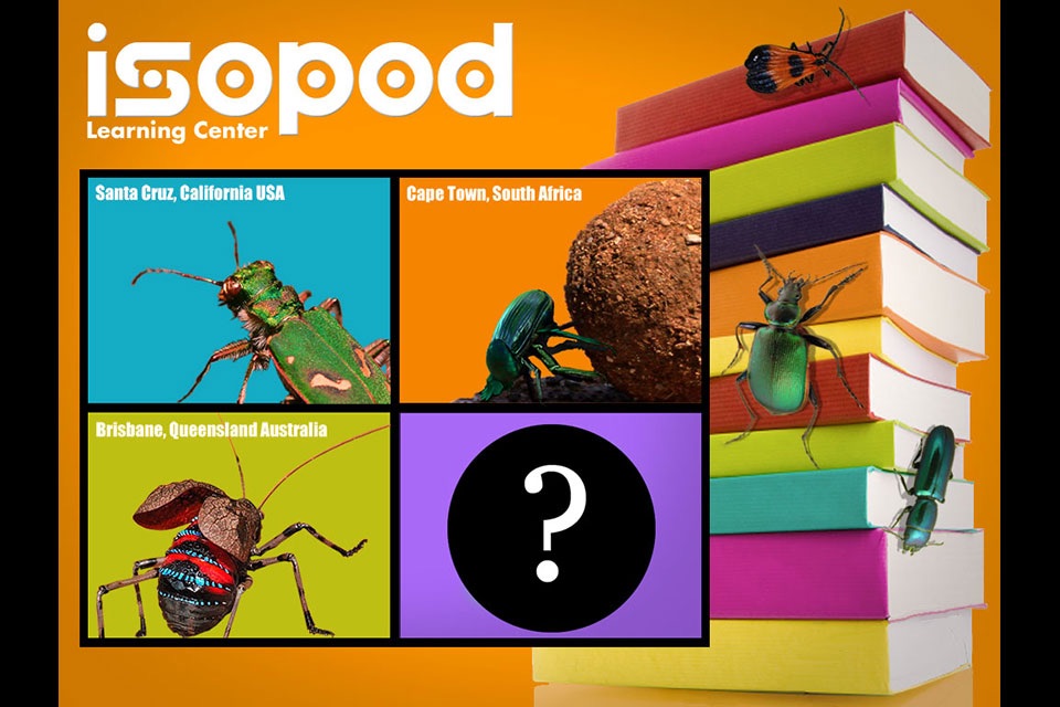 Isopod A RolyPoly Science Game screenshot 4