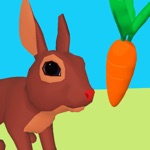 Save the Rabbit