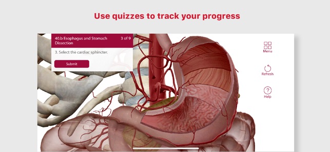 Anatomy & Physiology(圖5)-速報App