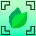 Plant by Leaf Identifier