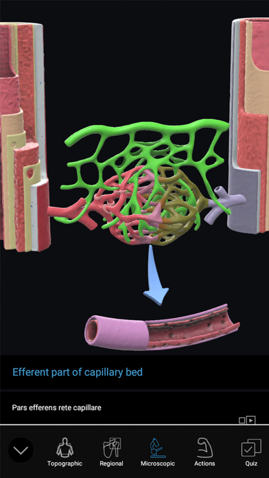 3D Organon Anatomy Enterprise screenshot 3