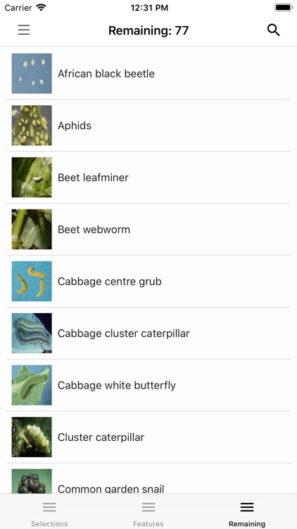 Bunching Vegetables screenshot-4