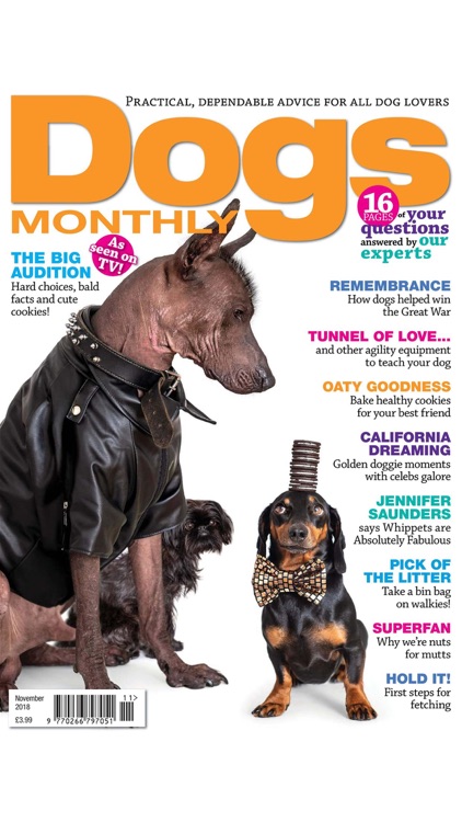 Dogs Monthly Magazine screenshot-4