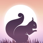 Squirrel Calls for Hunting