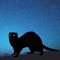 Real night vision camera app that can make photos and selfies in the dark