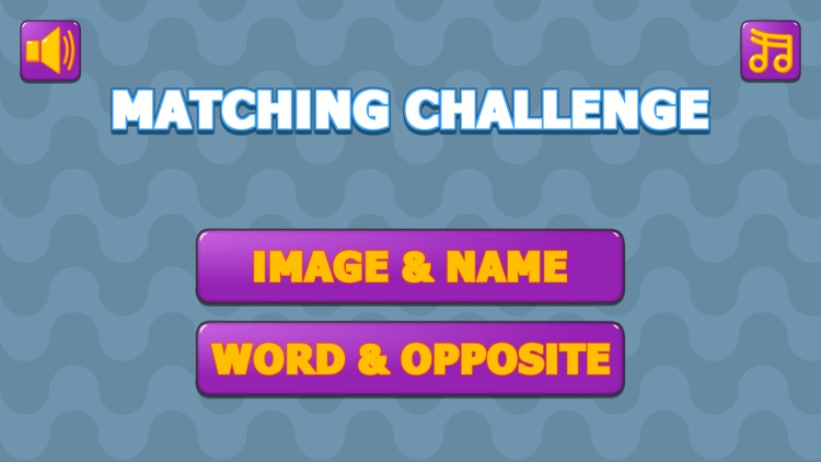 Matching Challenge