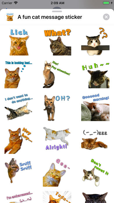 A fun cat message sticker screenshot 3