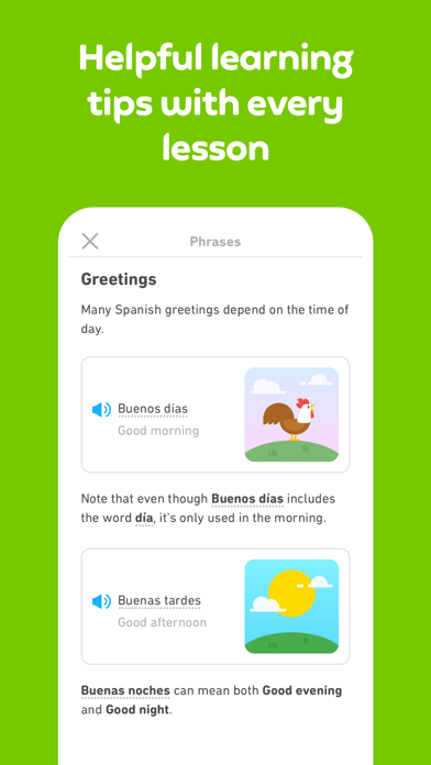 Duolingo - Language Lessons - Software Details, Features & Pricing