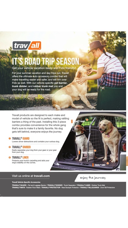 FIDO Friendly Magazine