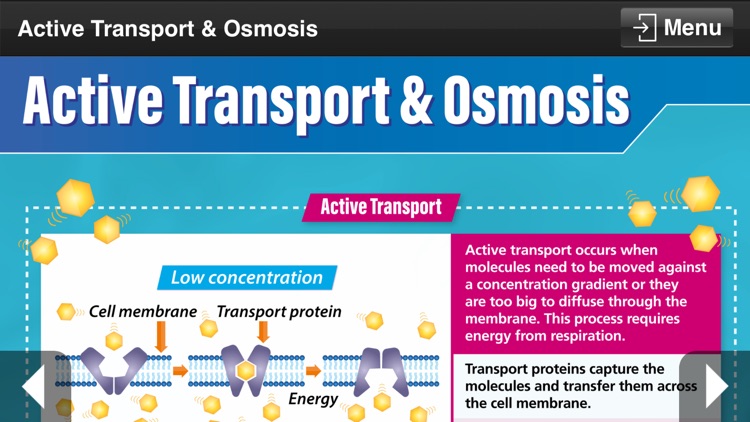 GCSE Science Combined screenshot-5