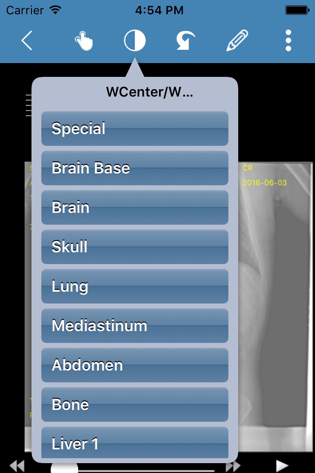 Mergen PACS screenshot 2