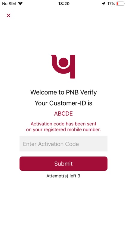 PNB Verify