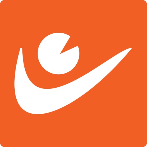 Secureye Pro Download