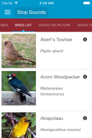 North American Birds and Sound screenshot 2