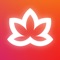 Meditative Mind is the best meditation music app for anyone interested in reducing stress & anxiety through music