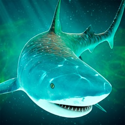 Sea of Sharks - Survival World