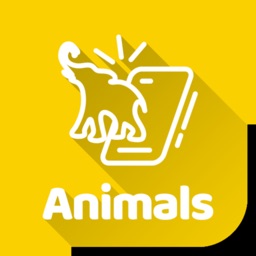 Smarttcard Animals 3D