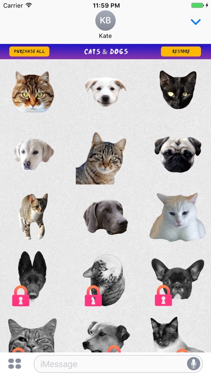 Cats and Dogs Message Stickers