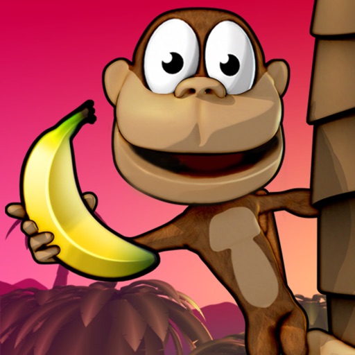Monkey Bongo Review