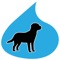 Welcome to the Black Dog Car Wash mobile app