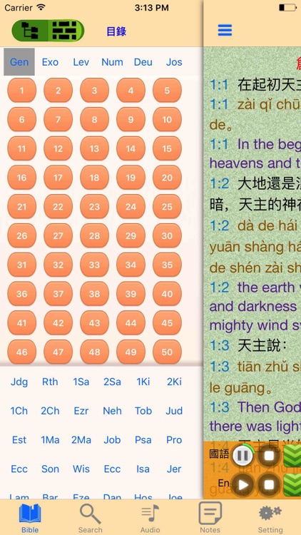 Catholic Chinese English Bible