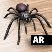 AR Spiders & Co