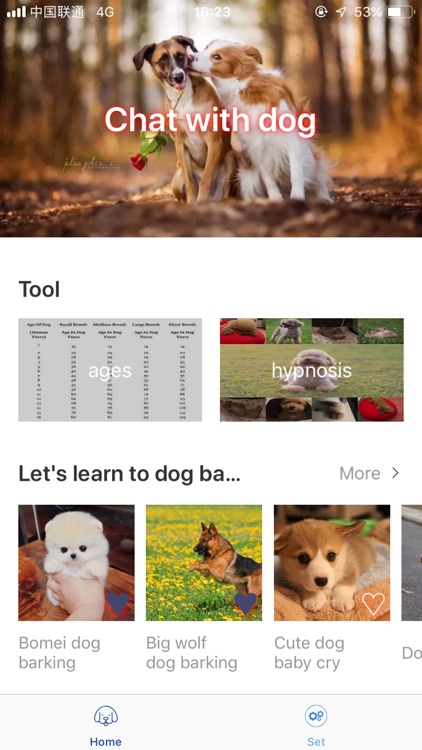 Dog Barks