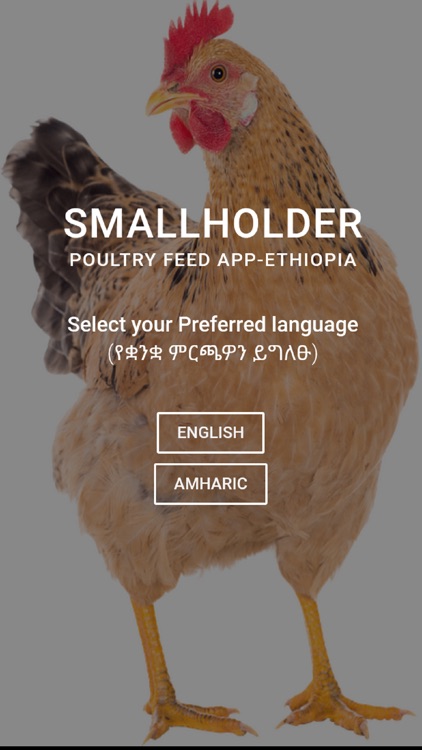 Smallholder Poultry Feed - ET