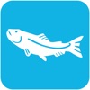 Great Lakes Fish Finder