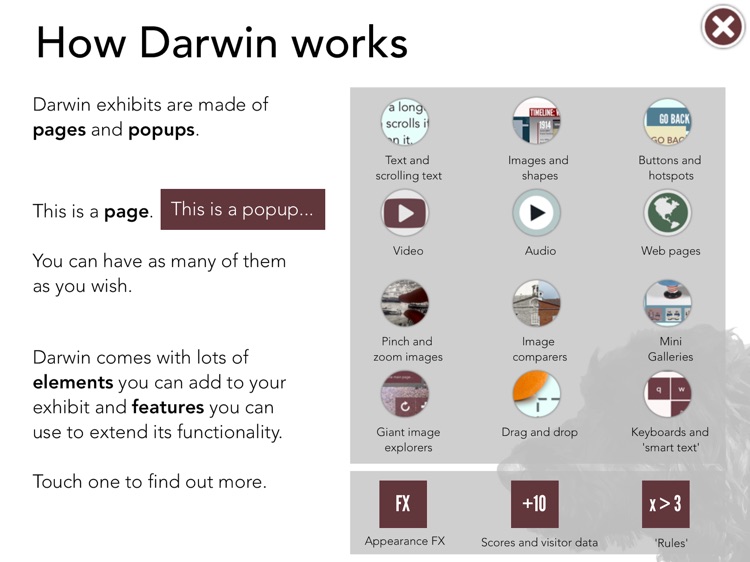 Darwin Player