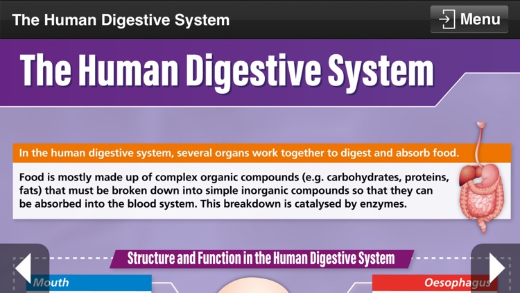 GCSE Science Combined screenshot-8