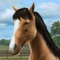 Live the dream of owning and looking after a realistic horse, and share the experience with your friends