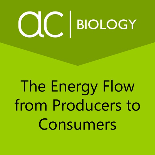 The Energy Flow icon